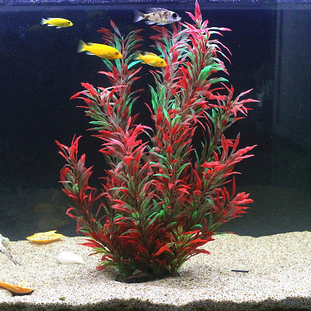 Aquarium Marine Fish - 50CM Acquario artificiale Piante rare Acquario