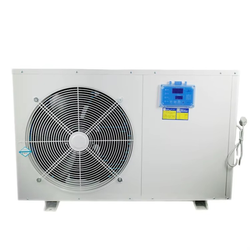 Refrigeratore d'Acqua Intellig - Marine Aquarium Temperature recensione e prezzo