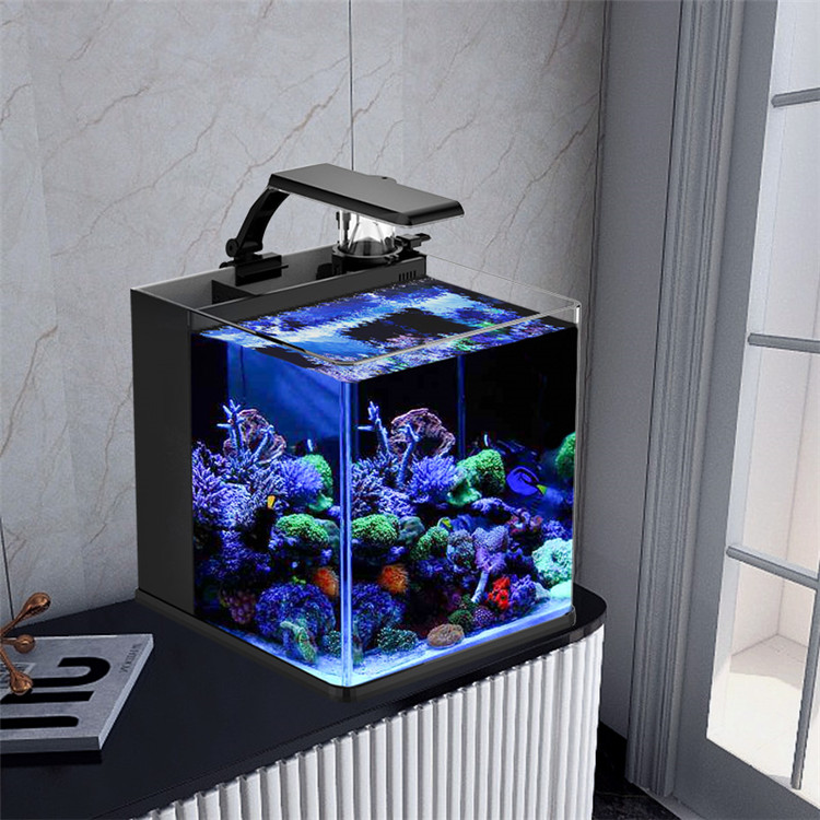 Ultimo modello di mini acquari - Aquarium Marine Clearwater recensione e prezzo