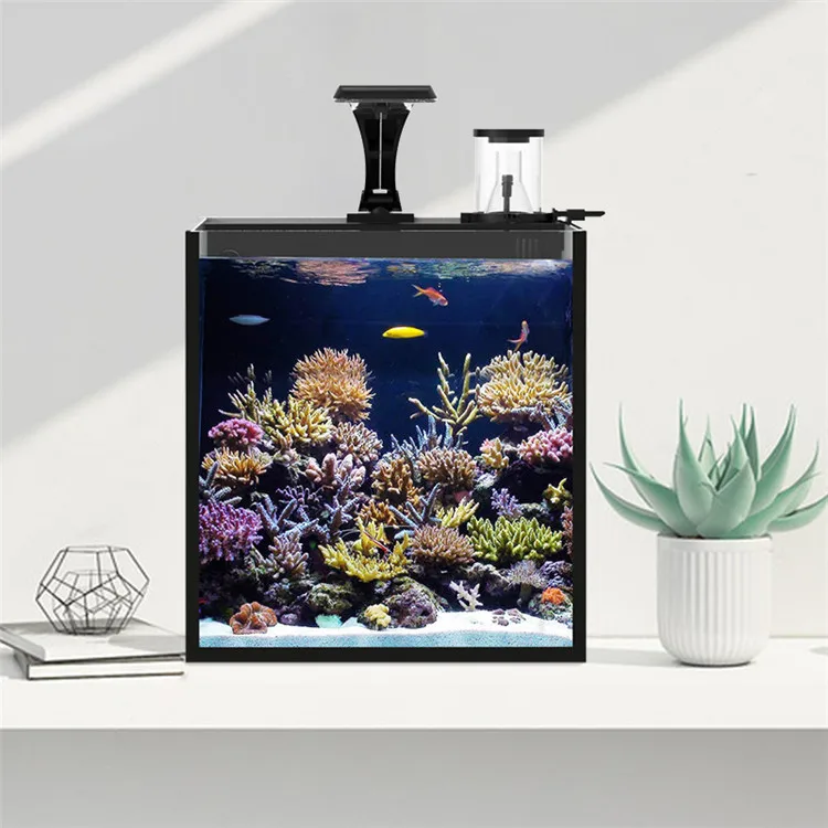 Ultimo modello di mini acquari - Aquarium Marine Clearwater recensione e prezzo