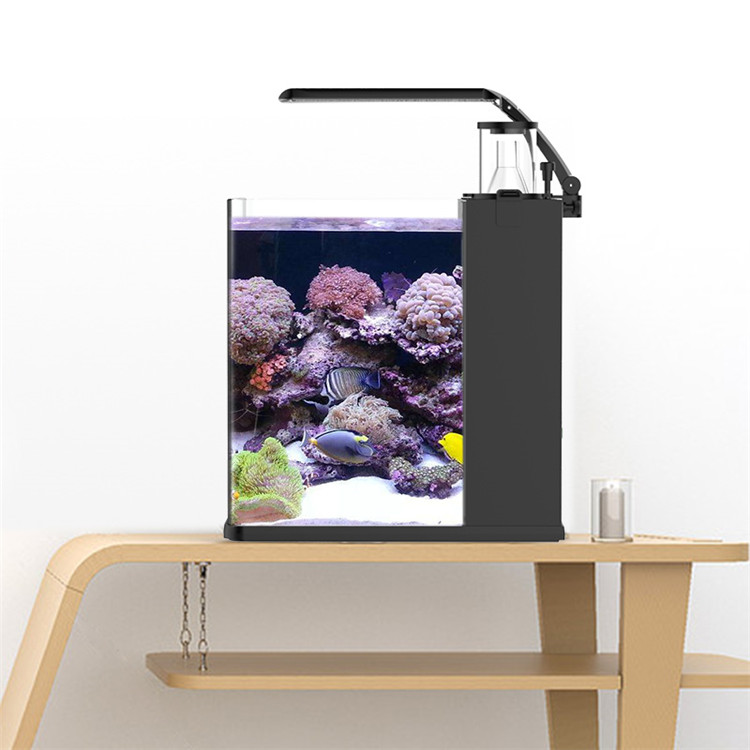 Skynuo Mini Acquario Marino in - Aquarium Marine Clearwater recensione e prezzo