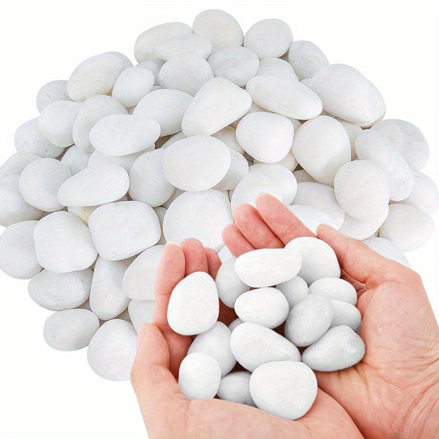 200/400g Bianco Alto Lucido Ci - Aquarium Marine Fish recensione e prezzo