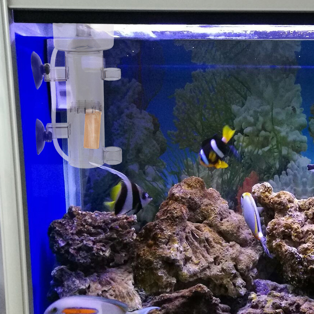 Skimmer di Proteine Interno Mi - Aquarium Marine Fish recensione e prezzo