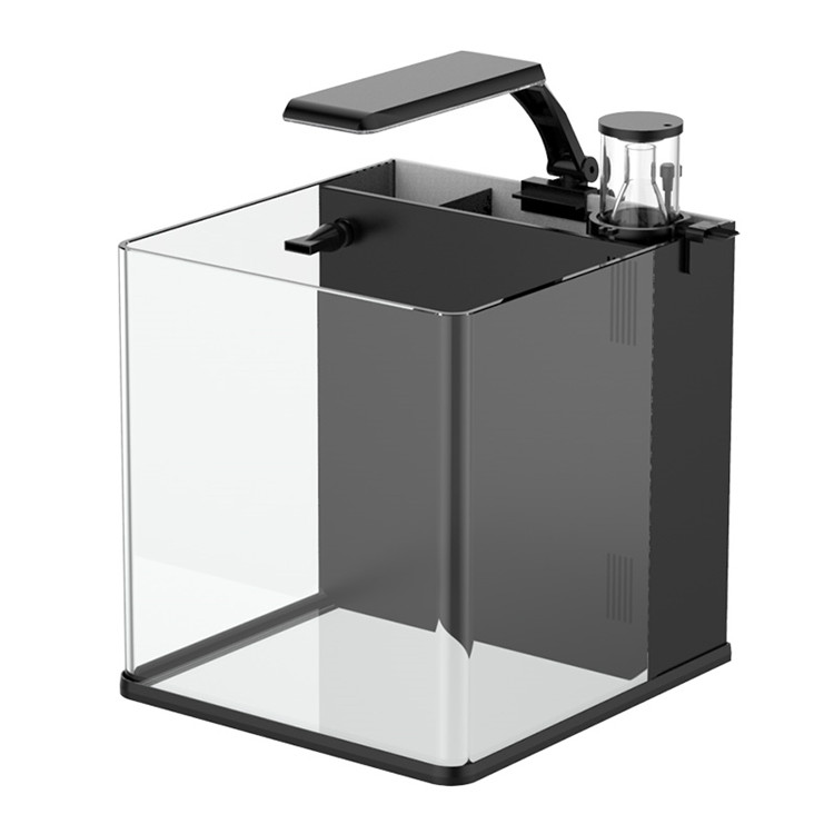 Mini acqua salata in vetro ult - Aquarium Marine Clearwater recensione e prezzo