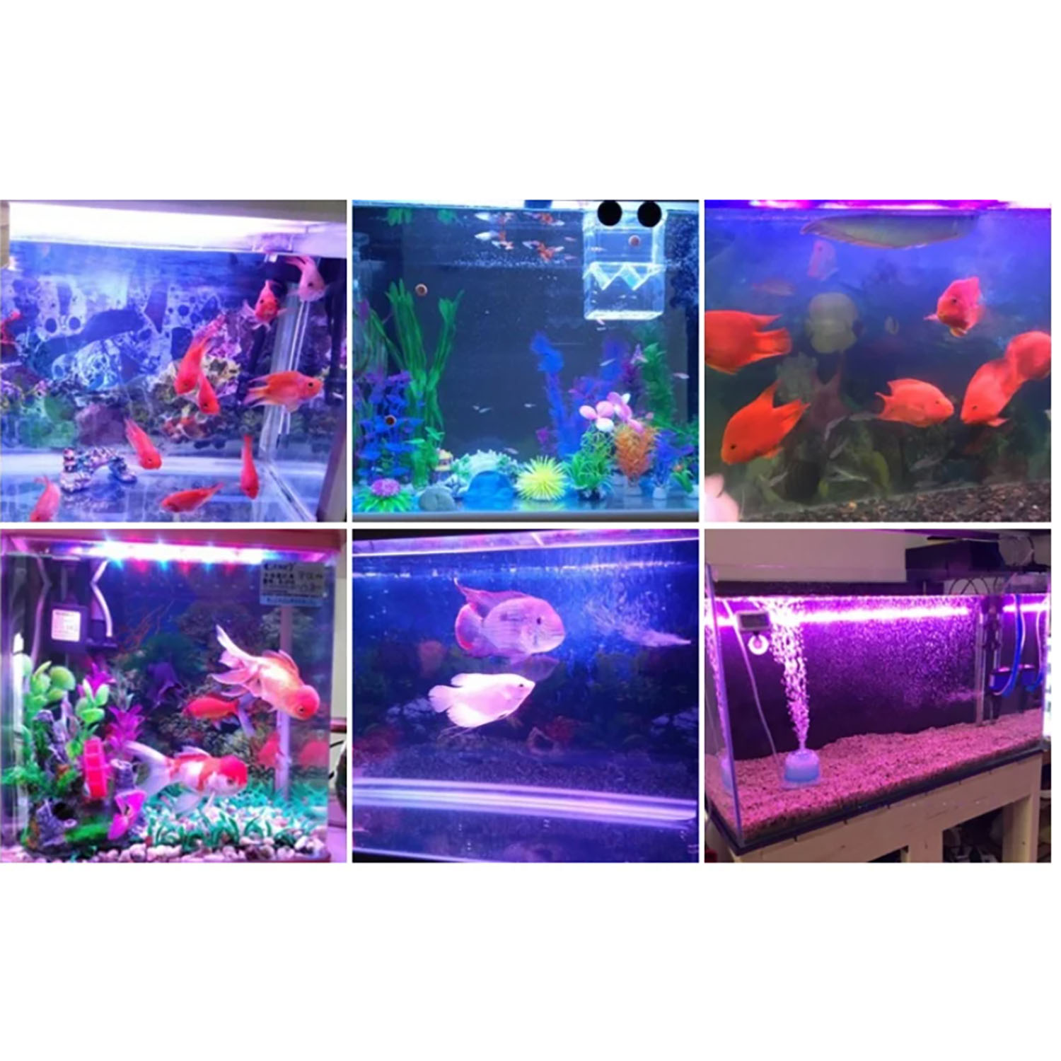 Illuminazione LED per Acquario - Marine Aquarium Uv Light recensione e prezzo